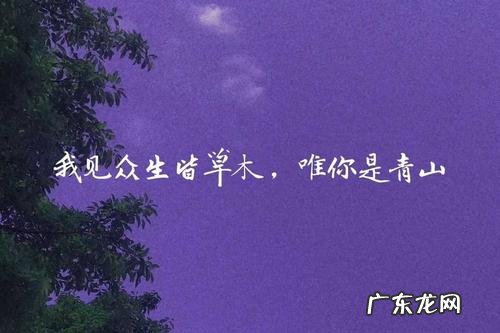 动人情话 动人情话