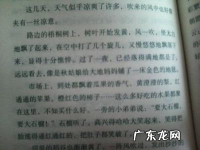 风的小练笔50字内六年级上册语文3课 风的小练笔50字内