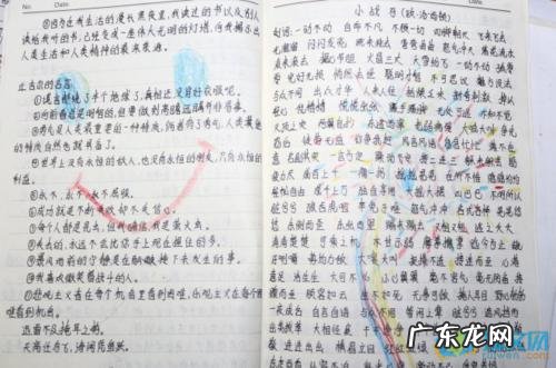 描写生命的优美段落摘抄 描写街道的优美段落摘抄