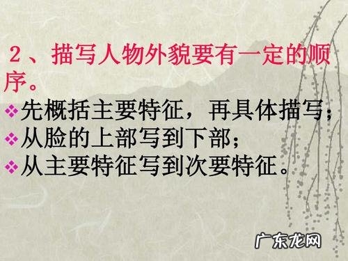 描写人物外貌的作文 描写人物外貌