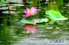 用上顿时忽然描写风 用顿时忽然描述风