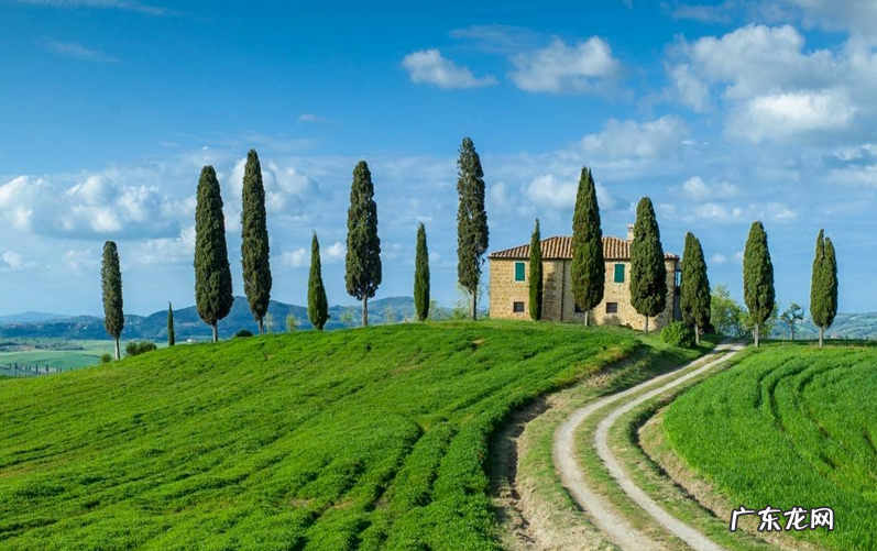 如何设置动态壁纸手机 告诉你windows10桌面壁纸设置方法