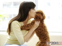 家养宠物该如何选择清洁液