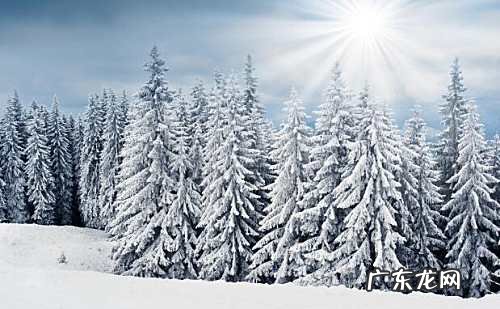 描写冬天景色的优美段落100字左右 描写冬天景色的优美段落