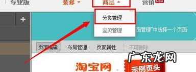 淘宝店铺分类标签怎么写?如何操作?