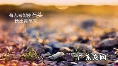 人生拼搏正能量励志图片 人生拼搏正能量励志文章