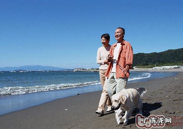 小狗散散步大学问大分析