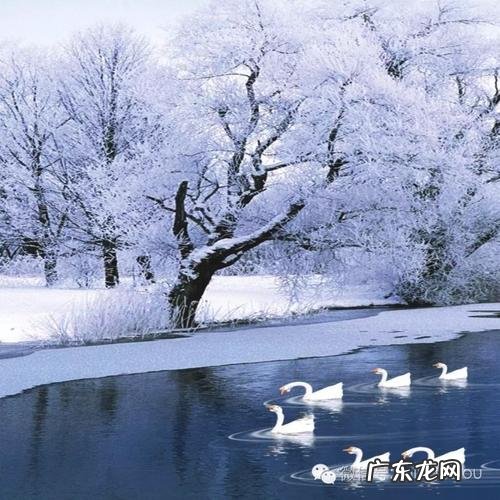 初冬银杏树的描写优美段落 描写初冬的优美段落