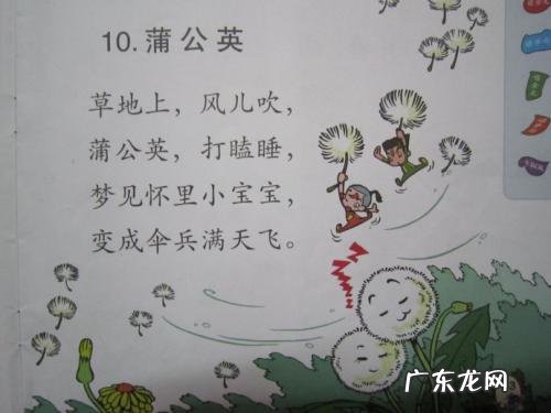 蒲公英看图写话100字 蒲公英写话200字以上