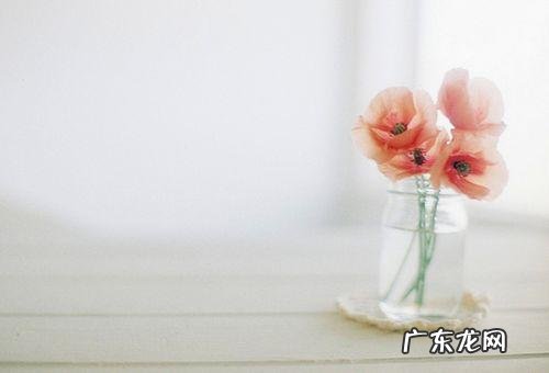 暗恋短语真心感人话 爱情短语真心感人话经典