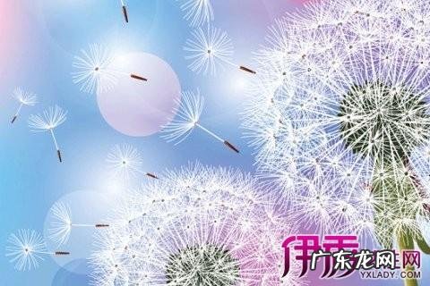 吹萨克斯的动作描写 吹蒲公英的动作描写