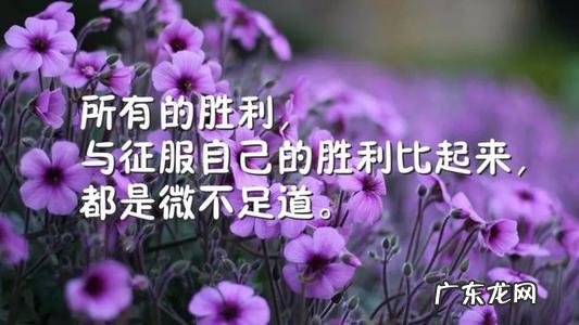 激励朋友努力上进的话 激励自己努力上进的话简短