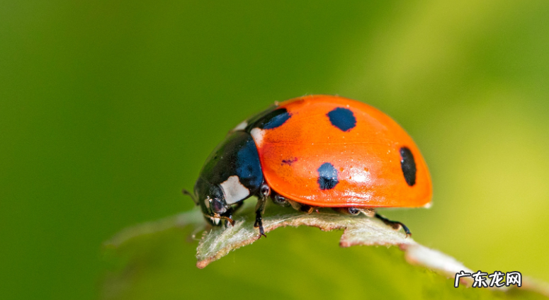 有趣的冷知识有哪些?