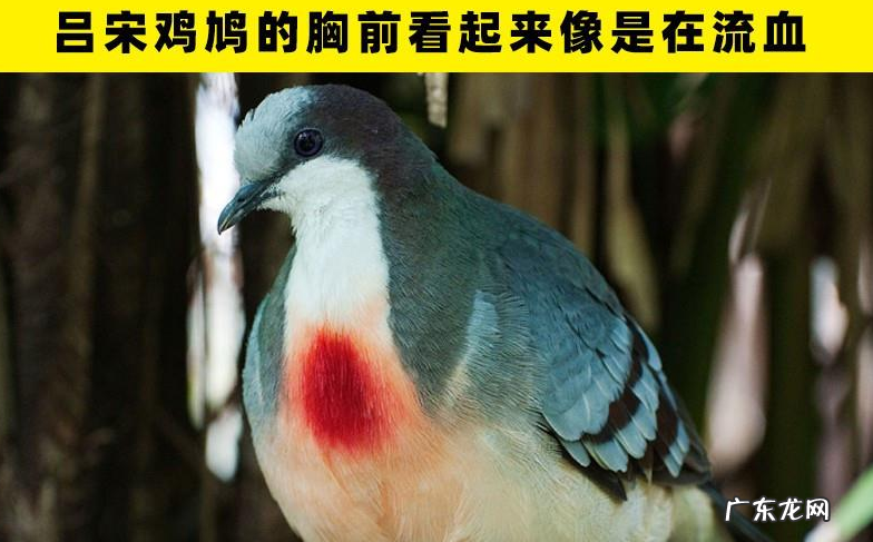 有趣的冷知识有哪些?