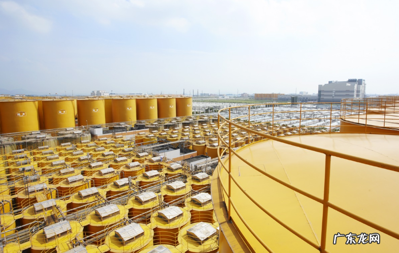 中国哪个牌子的酱油质量最好?