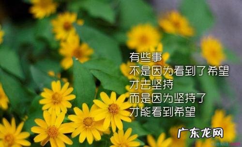 说说心情短语人生感悟2021 11月说说心情短语