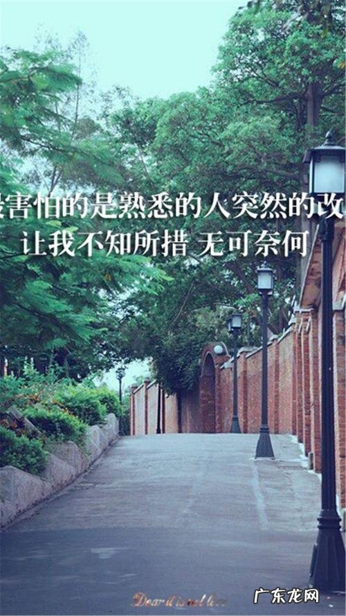 自己拍的风景配文字沙雕 自己拍的风景配文字