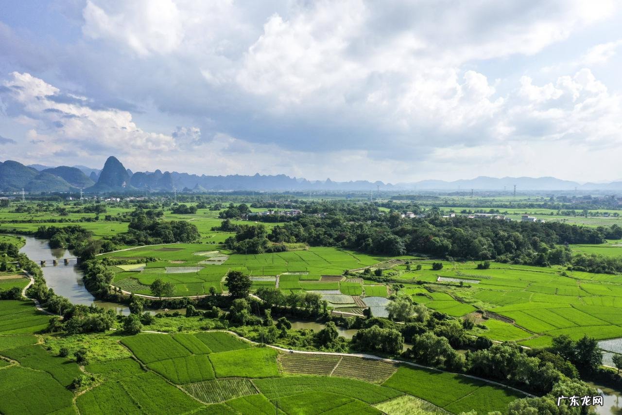广西桂林:绿水青山鹭鸟来