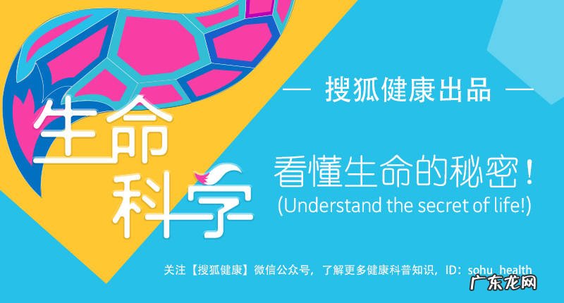 Plos One:打流感疫苗或能降低新冠肺炎重症风险