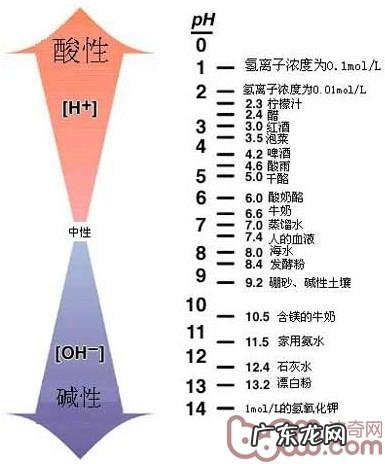小狗尿里会造成 轮胎爆胎是真是假