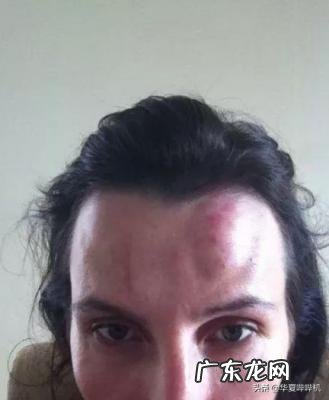 疯狂英语李阳家暴事件启示 李阳家暴事件评论