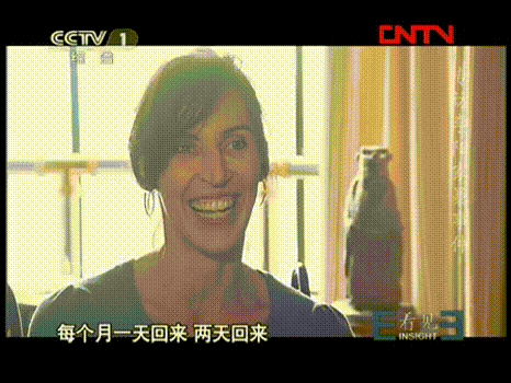 疯狂英语李阳家暴事件启示 李阳家暴事件评论