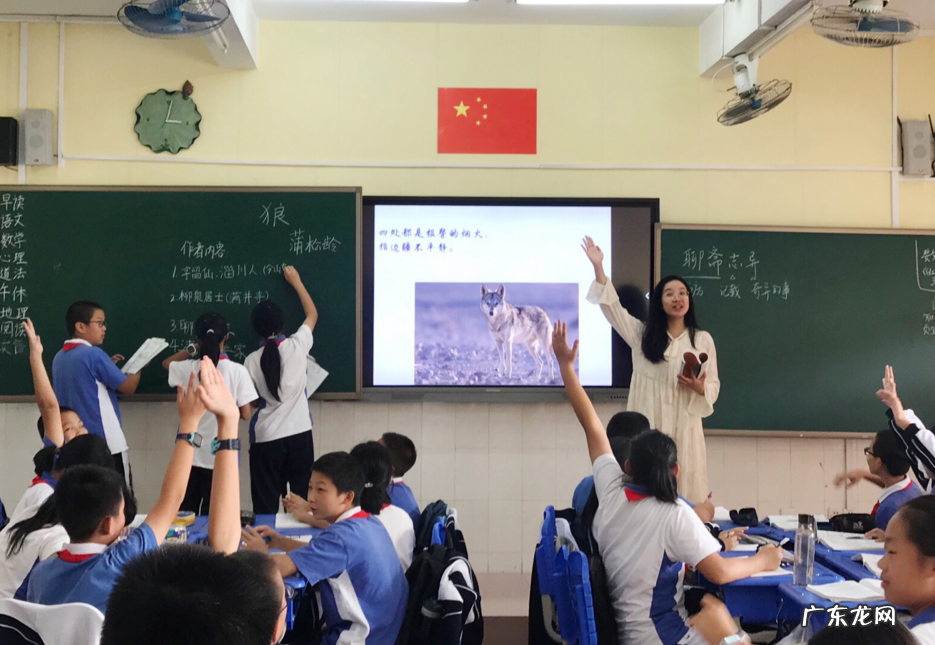 教师岗位“大换血”,中小学入职门槛或提升,有人欢喜有人忧