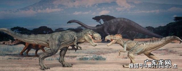 它与霸王龙同属一科，诞生于7700万年前，是当时的顶级掠食者