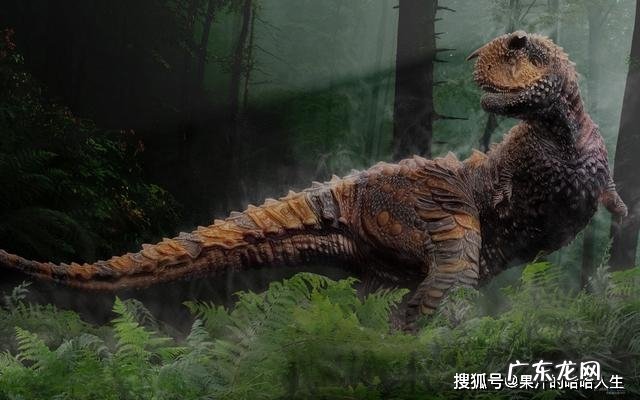 它与霸王龙同属一科，诞生于7700万年前，是当时的顶级掠食者