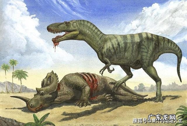它与霸王龙同属一科，诞生于7700万年前，是当时的顶级掠食者