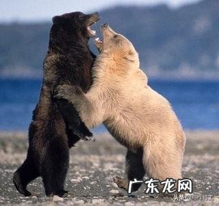 女生找男朋友会有慕强心理吗