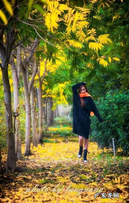 十一月的散文诗