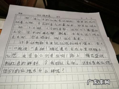 描写风的小练笔100字左右