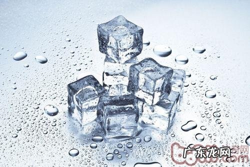 是不是该吃狗粮狗凉水