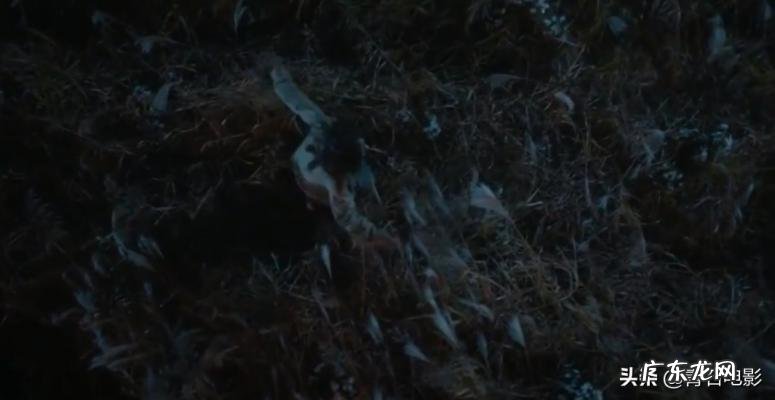 金莎朗的电视剧 金莎朗电影