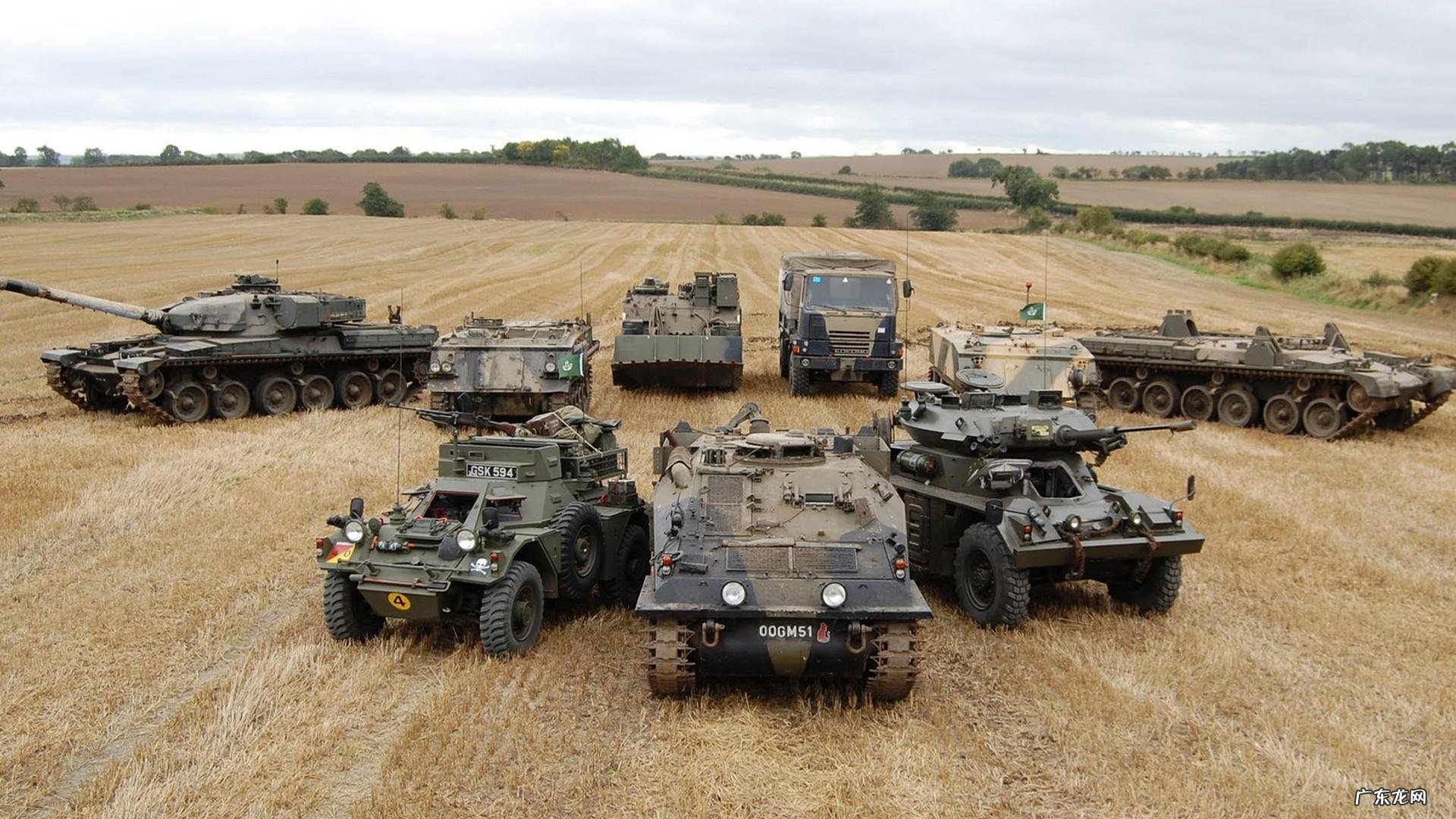 怎样在10天内快速减肥???!!!