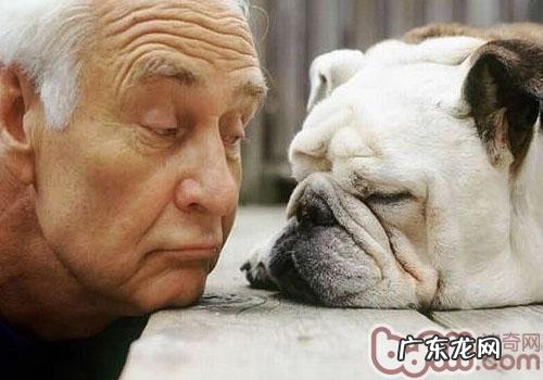 小狗们的嘴巴語言