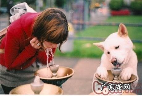 水对小狗的作用及危害