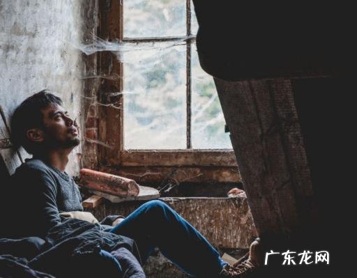 林保怡破案电视剧 林保怡演过的电视剧