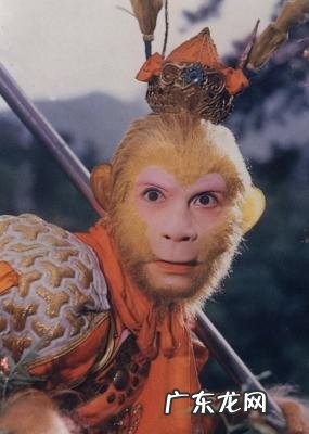 大鹏背景关系 大鹏背景