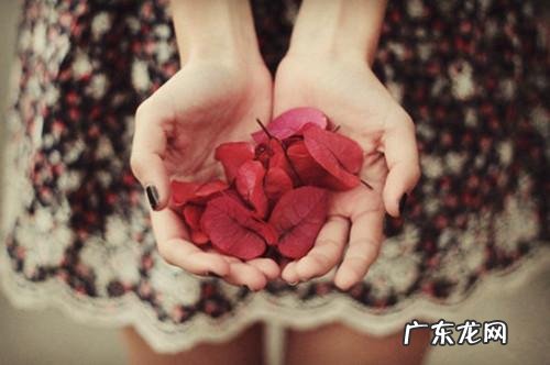 心灵的感悟 心灵的感悟