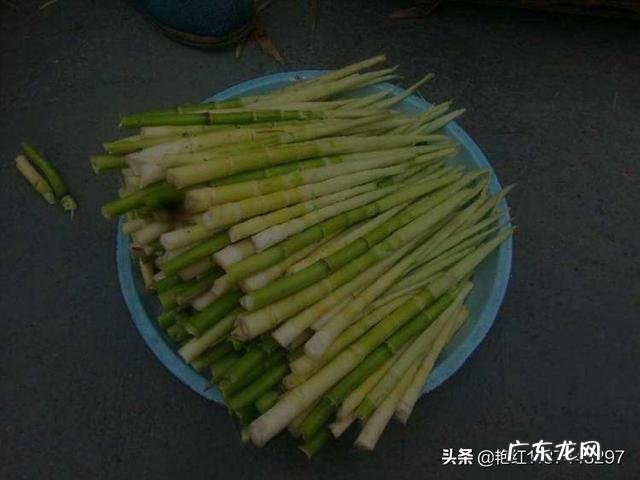 新鲜竹笋的最新吃法,你吃过吗