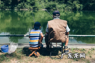 亚马逊独立站怎么做?如何布局?