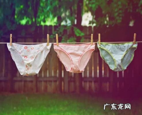 女人的内裤多久换一次新的 女人的内裤