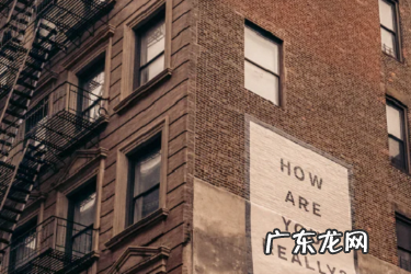 亚马逊独立站什么优势?新手能加入吗?