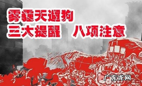 宠物营养师王天飞:雾霾天气遛猫遛狗的三大提示八项注意