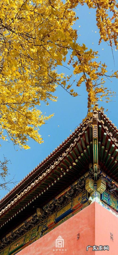 银杏与古建筑 银杏遇上古建筑
