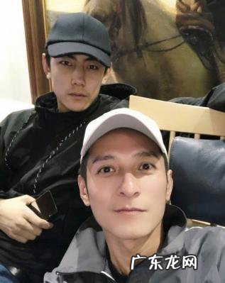 维嘉微博粉丝 维嘉微博