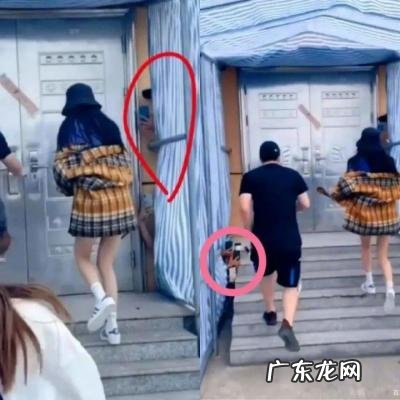 杨幂全棵艺术照照片