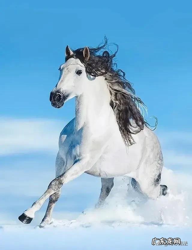 冲施肥究竟能不能频繁更换